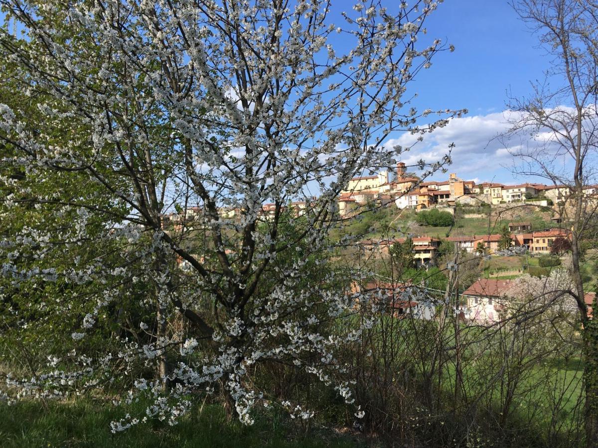 Villa Bacchus Cortanze Εξωτερικό φωτογραφία